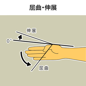 手の親指の根元の屈曲・伸展